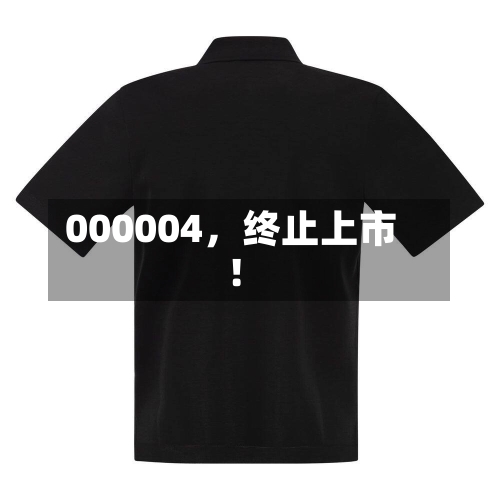 000004，终止上市！-第2张图片