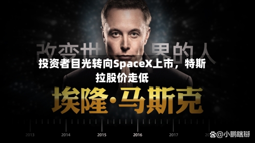 投资者目光转向SpaceX上市，特斯拉股价走低-第2张图片