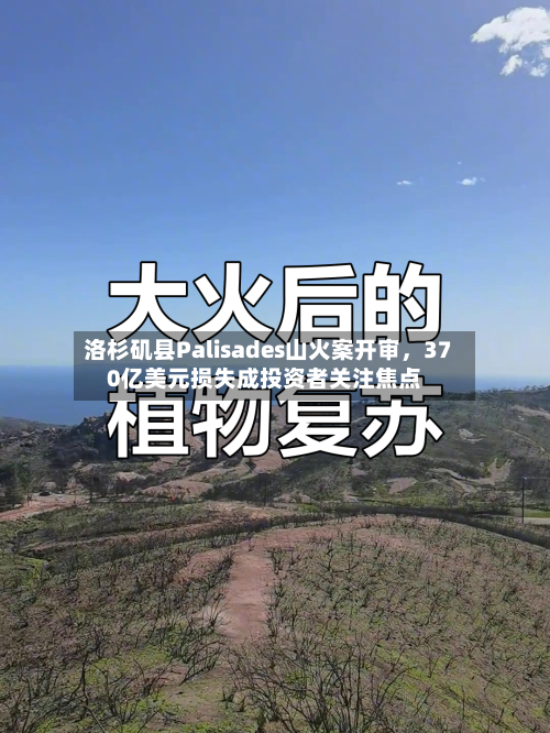 洛杉矶县Palisades山火案开审，370亿美元损失成投资者关注焦点-第3张图片