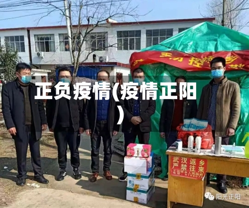 正负疫情(疫情正阳)-第2张图片
