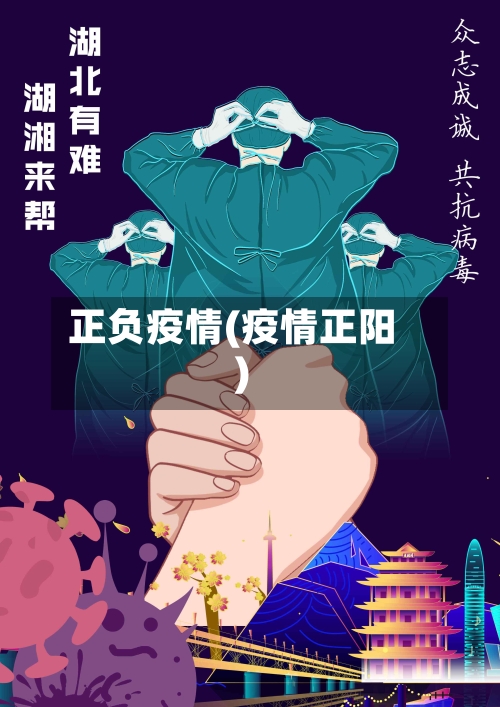 正负疫情(疫情正阳)-第3张图片