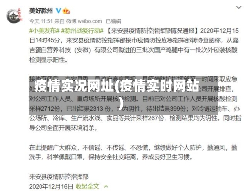 疫情实况网址(疫情实时网站)-第2张图片
