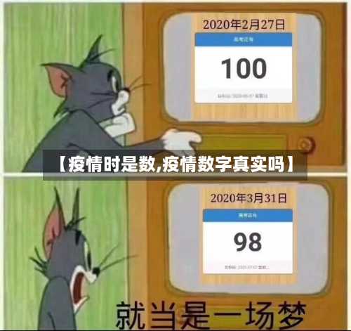 【疫情时是数,疫情数字真实吗】
