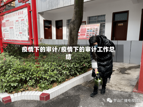 疫情下的审计/疫情下的审计工作总结