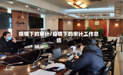 疫情下的审计/疫情下的审计工作总结-第3张图片