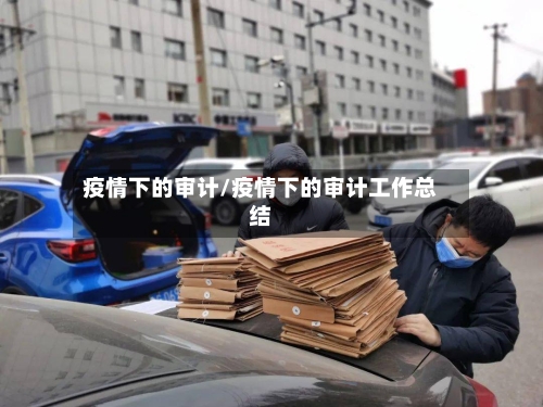 疫情下的审计/疫情下的审计工作总结-第2张图片