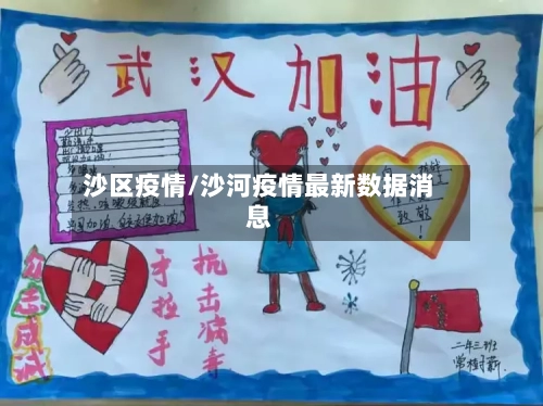 沙区疫情/沙河疫情最新数据消息-第2张图片