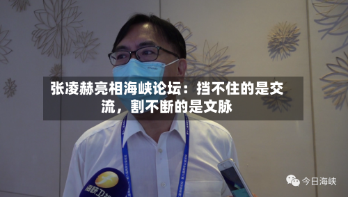 张凌赫亮相海峡论坛：挡不住的是交流，割不断的是文脉-第2张图片
