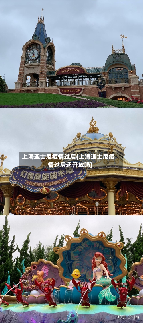 上海迪士尼疫情过后(上海迪士尼疫情过后还开放吗)-第2张图片