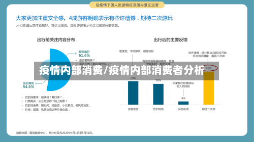 疫情内部消费/疫情内部消费者分析