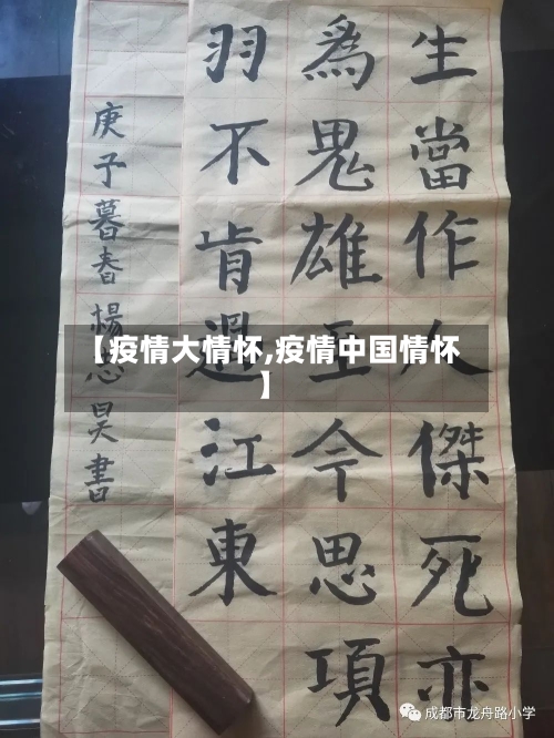【疫情大情怀,疫情中国情怀】-第2张图片