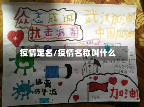 疫情定名/疫情名称叫什么-第3张图片