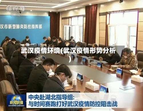 武汉疫情环境(武汉疫情形势分析)
