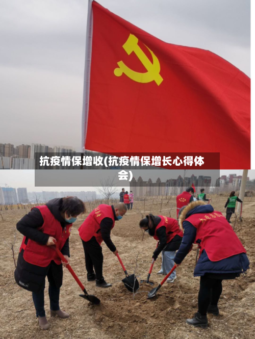 抗疫情保增收(抗疫情保增长心得体会)