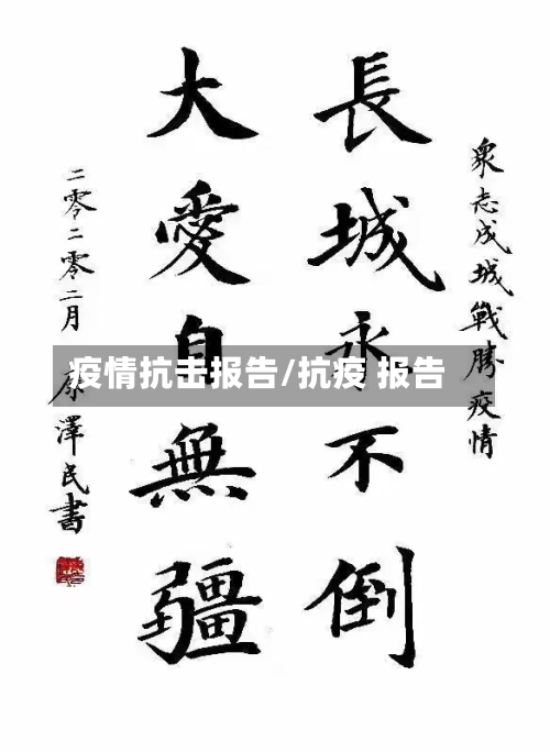 疫情抗击报告/抗疫 报告-第2张图片