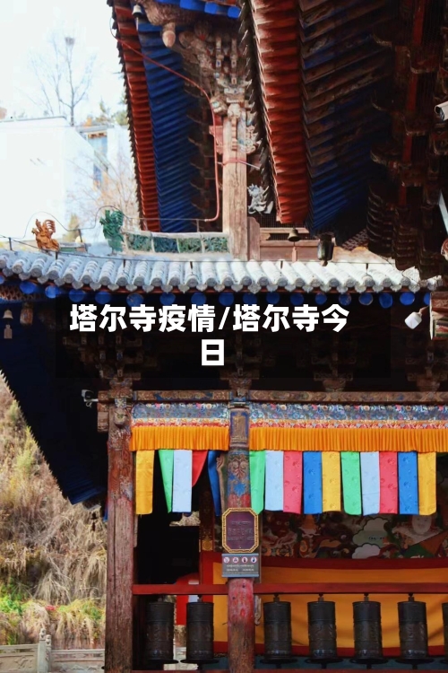 塔尔寺疫情/塔尔寺今日