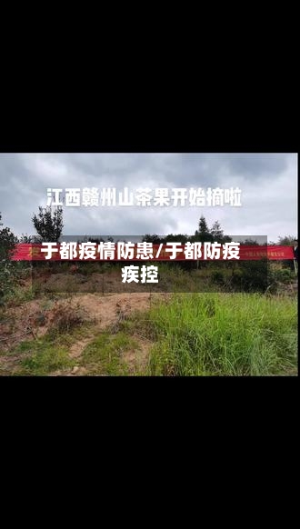 于都疫情防患/于都防疫疾控-第2张图片