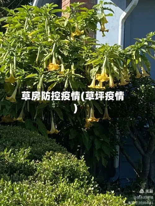 草房防控疫情(草坪疫情)