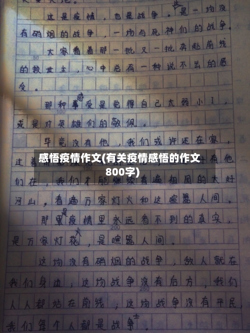 感悟疫情作文(有关疫情感悟的作文800字)-第2张图片