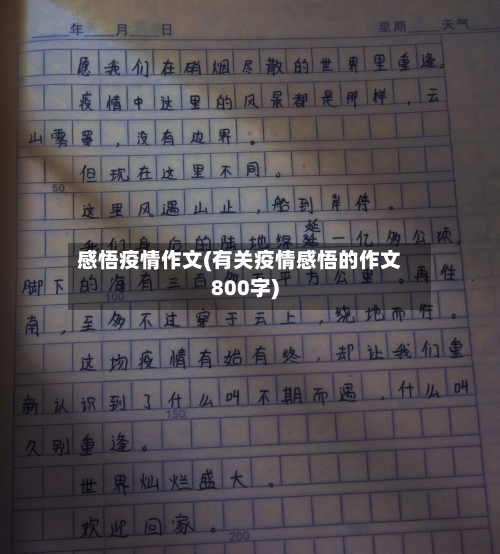 感悟疫情作文(有关疫情感悟的作文800字)