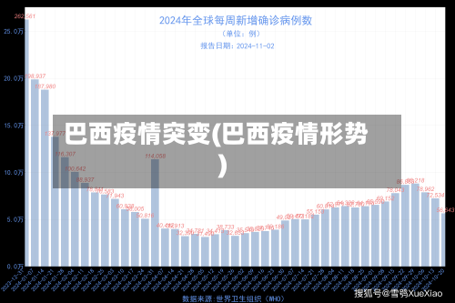 巴西疫情突变(巴西疫情形势)-第2张图片