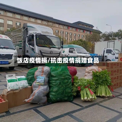 饭店疫情捐/抗击疫情捐赠食品