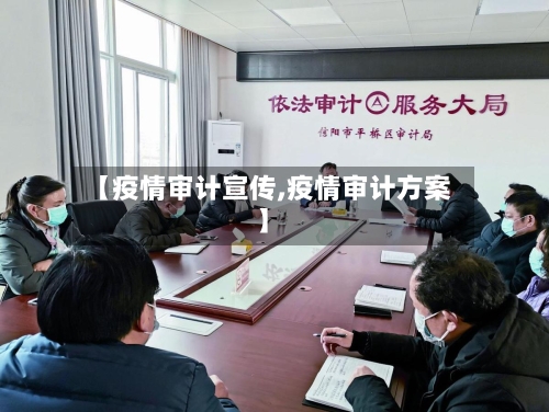 【疫情审计宣传,疫情审计方案】