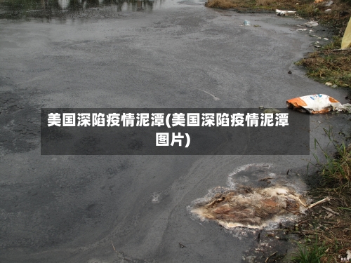 美国深陷疫情泥潭(美国深陷疫情泥潭图片)