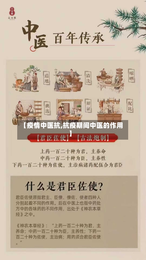 【疫情中医抗,抗疫期间中医的作用】-第3张图片