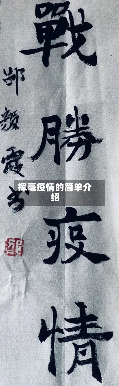 挥毫疫情的简单介绍