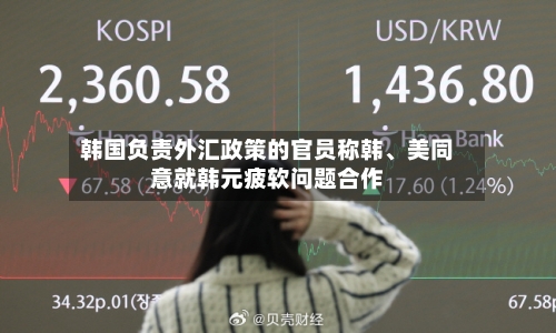 韩国负责外汇政策的官员称韩、美同意就韩元疲软问题合作-第2张图片