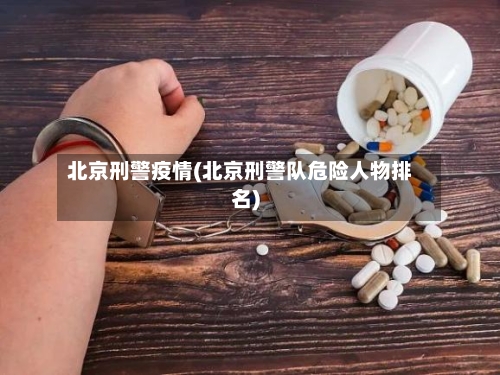 北京刑警疫情(北京刑警队危险人物排名)-第2张图片