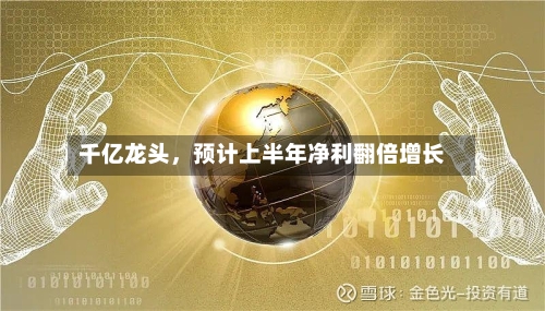 千亿龙头，预计上半年净利翻倍增长-第3张图片