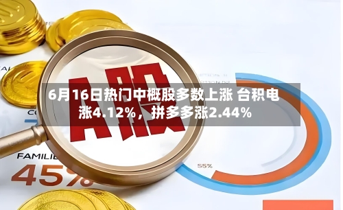 6月16日热门中概股多数上涨 台积电涨4.12%，拼多多涨2.44%-第2张图片