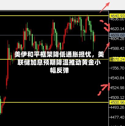 美伊和平框架降低通胀担忧	，美联储加息预期降温推动黄金小幅反弹-第2张图片