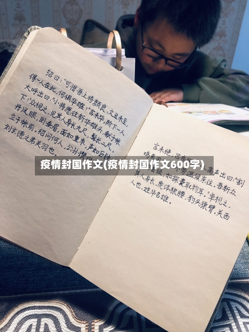 疫情封国作文(疫情封国作文600字)
