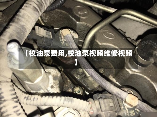 【校油泵费用,校油泵视频维修视频】-第2张图片