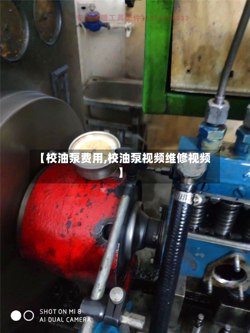【校油泵费用,校油泵视频维修视频】
