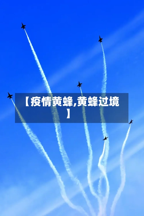 【疫情黄蜂,黄蜂过境】