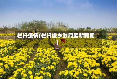 栏杆疫情(栏杆堡乡政府最新新闻)