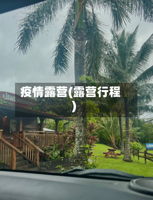 疫情露营(露营行程)-第2张图片
