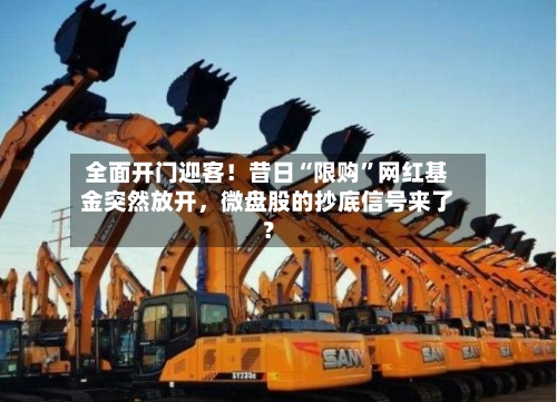全面开门迎客！昔日“限购”网红基金突然放开，微盘股的抄底信号来了？-第3张图片