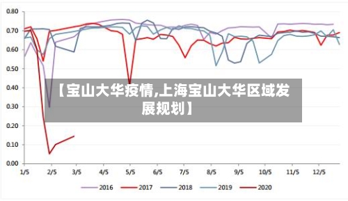 【宝山大华疫情,上海宝山大华区域发展规划】