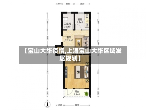 【宝山大华疫情,上海宝山大华区域发展规划】-第2张图片