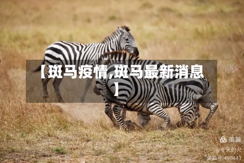【斑马疫情,斑马最新消息】