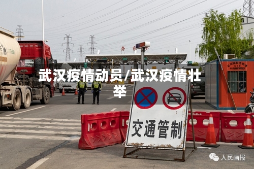 武汉疫情动员/武汉疫情壮举