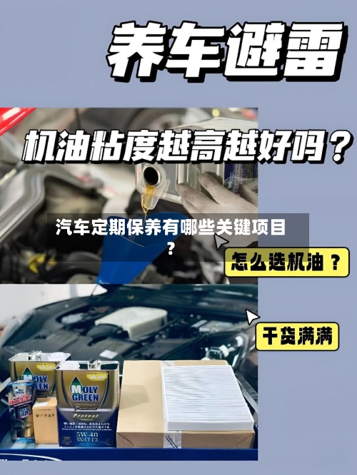 汽车定期保养有哪些关键项目？
