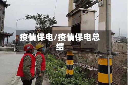 疫情保电/疫情保电总结