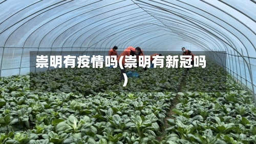 崇明有疫情吗(崇明有新冠吗)-第3张图片