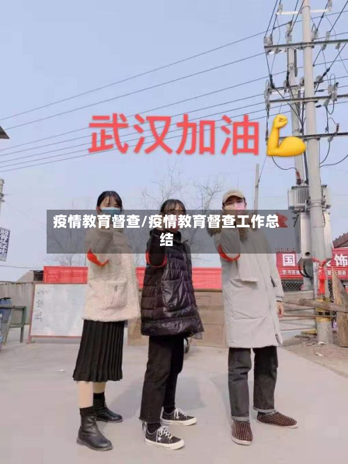 疫情教育督查/疫情教育督查工作总结-第2张图片